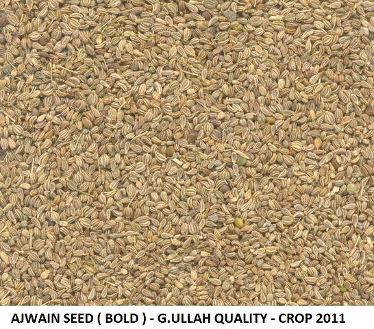 Seeds